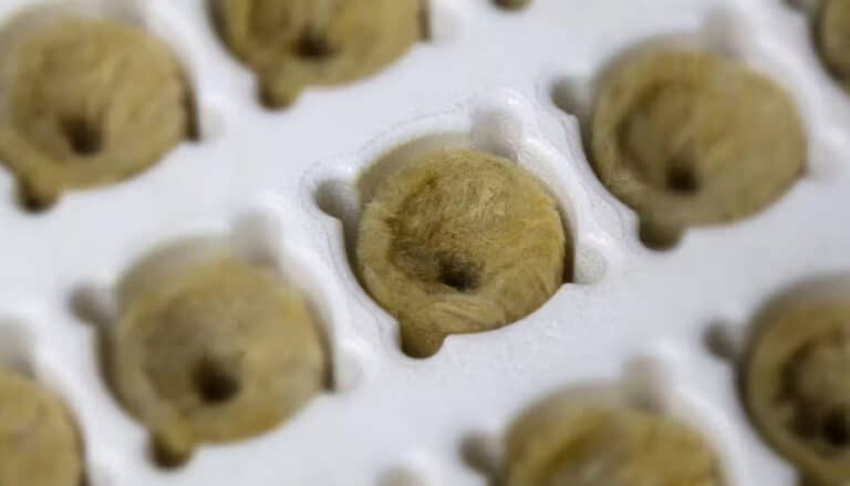 3d inspection product