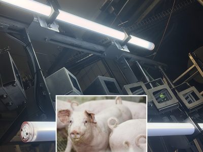 AI-assisted vision inspection